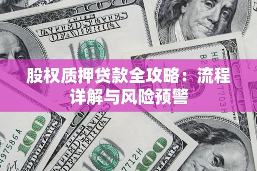 武汉股权质押贷款全攻略：流程详解与风险预警