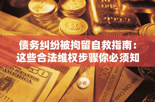 武汉债务纠纷被拘留自救指南：这些合法维权步骤你必须知道！