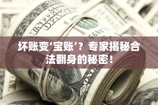 武汉坏账变‘宝账’？专家揭秘合法翻身的秘密！