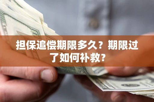 武汉担保追偿期限多久？期限过了如何补救？