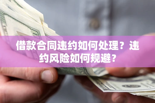 武汉借款合同违约如何处理？违约风险如何规避？