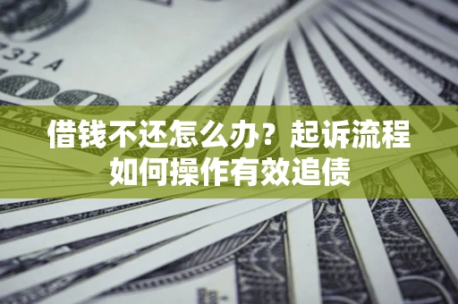 武汉借钱不还怎么办？起诉流程如何操作有效追债