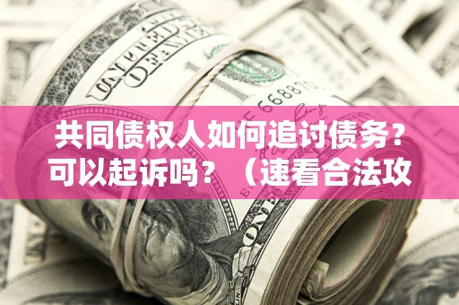 武汉共同债权人如何追讨债务？可以起诉吗？（速看合法攻略）
