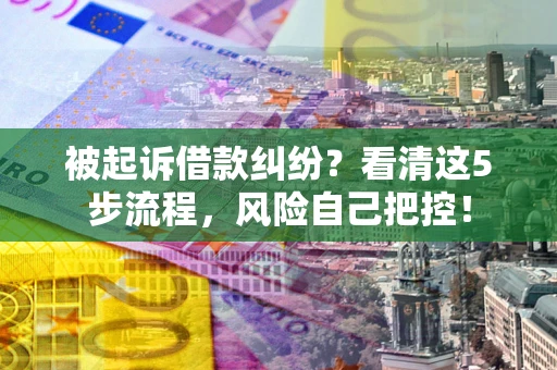 武汉被起诉借款纠纷？看清这5步流程，风险自己把控！