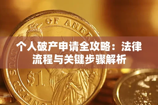 武汉个人破产申请全攻略：法律流程与关键步骤解析
