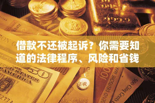 武汉借款不还被起诉？你需要知道的法律程序、风险和省钱技巧