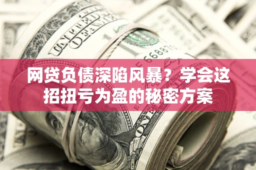 武汉网贷负债深陷风暴？学会这招扭亏为盈的秘密方案