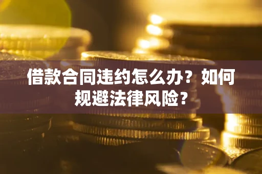 武汉借款合同违约怎么办？如何规避法律风险？